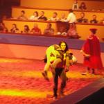Tournament of the kings